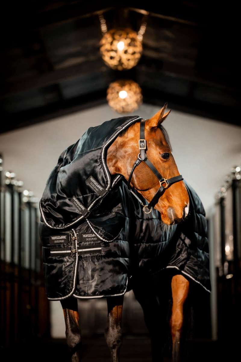 Horseware Stable Plus попона с врат 200 g