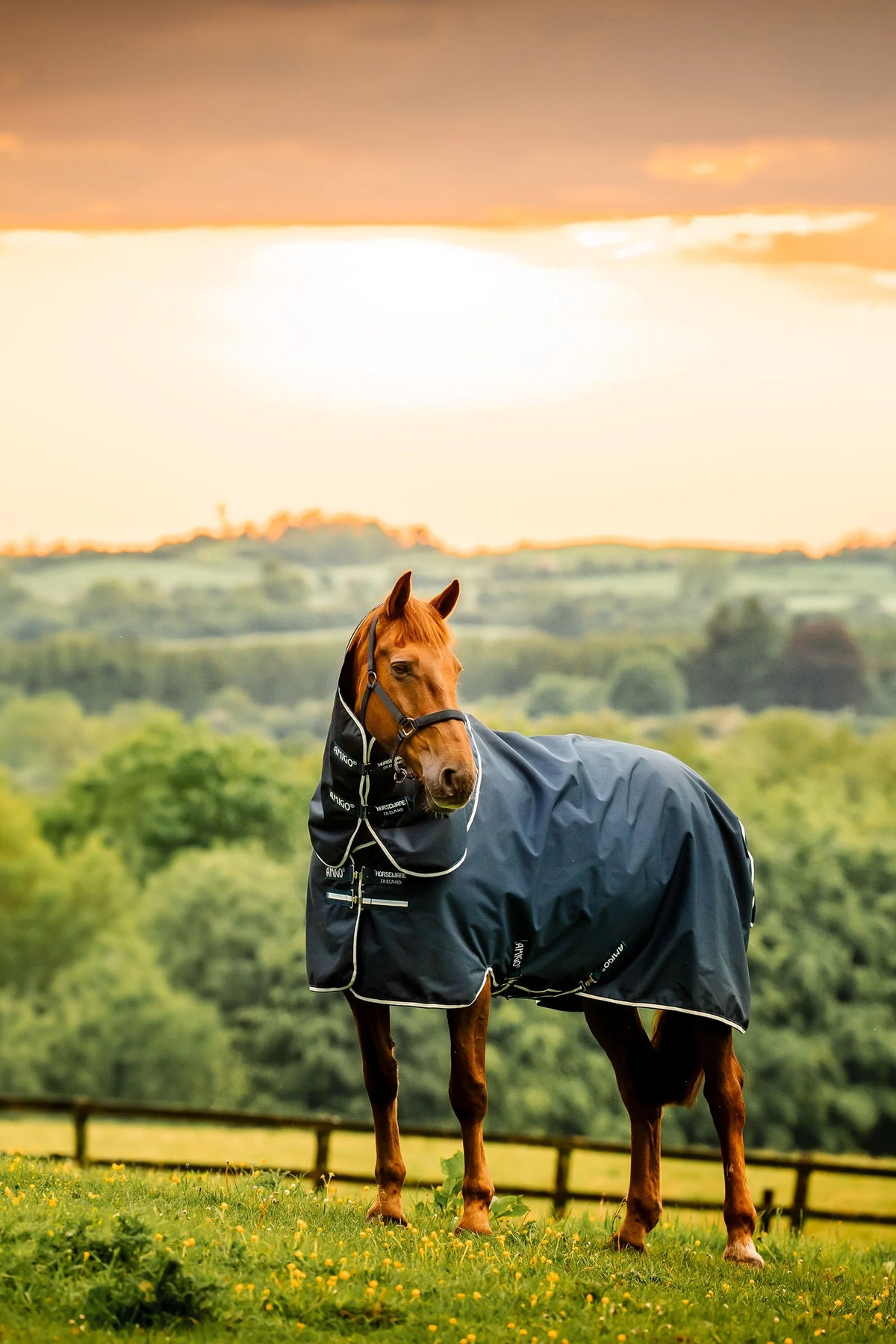 Horseware Amigo Ripstop 900D Plus 100g с врат