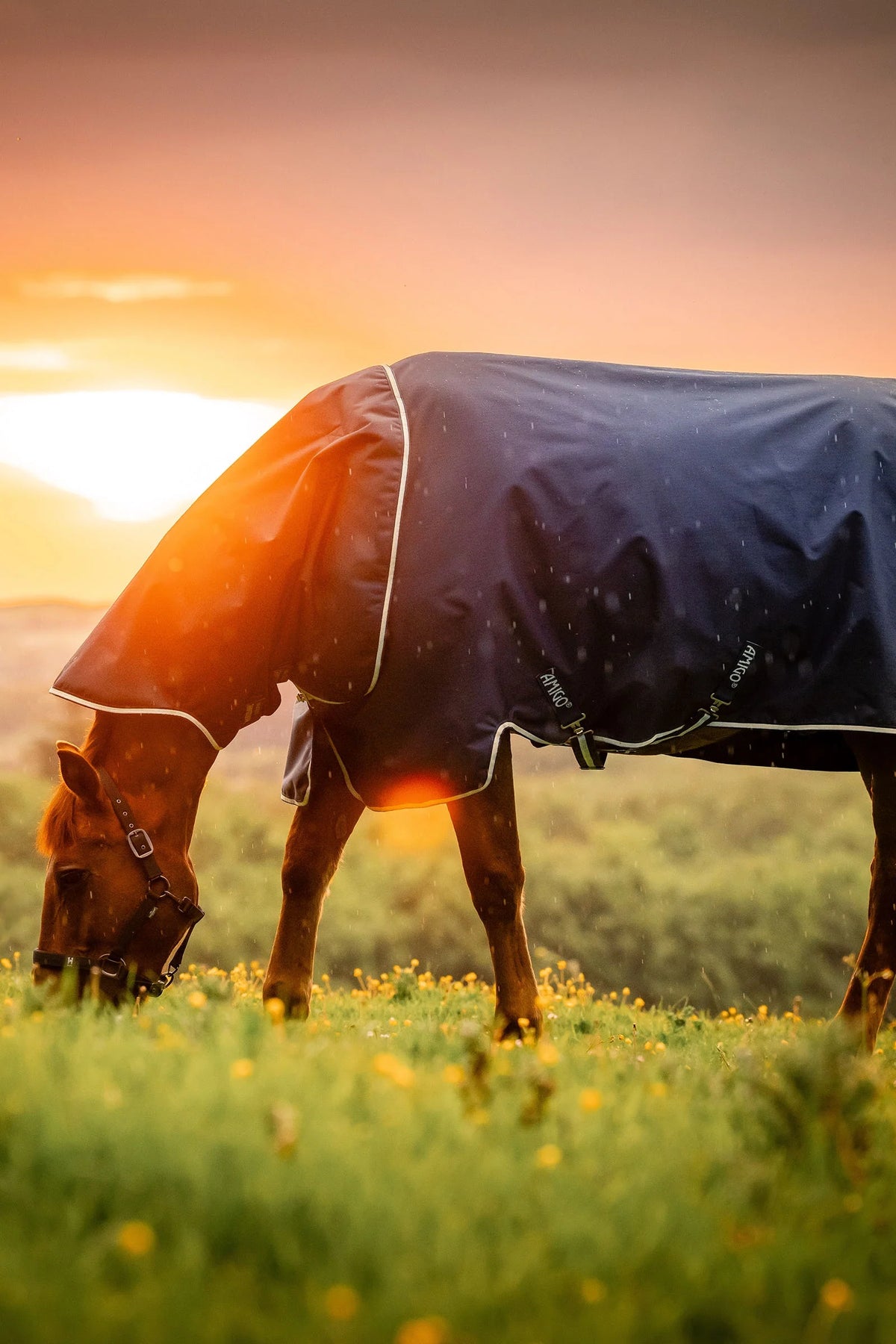 Horseware Amigo Ripstop 900D Plus 100g с врат