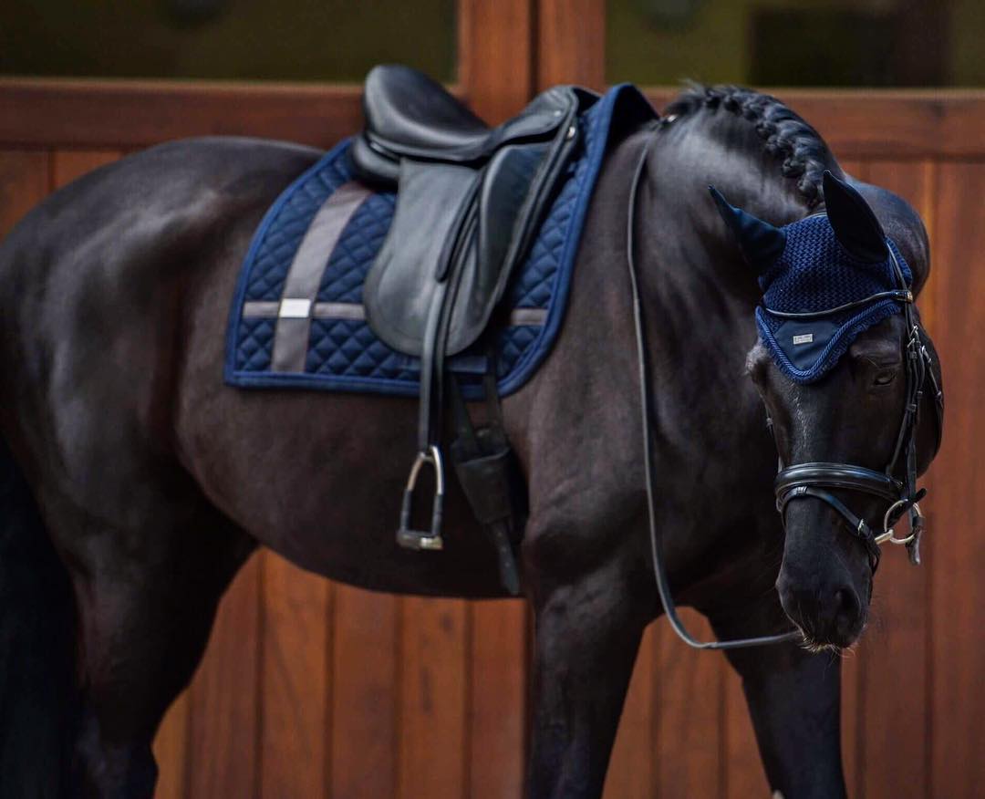 Equestrian Stockholm потник обездка