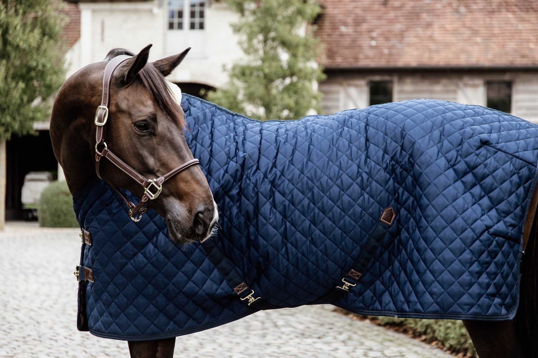 Kentucky Stable Rug Navy