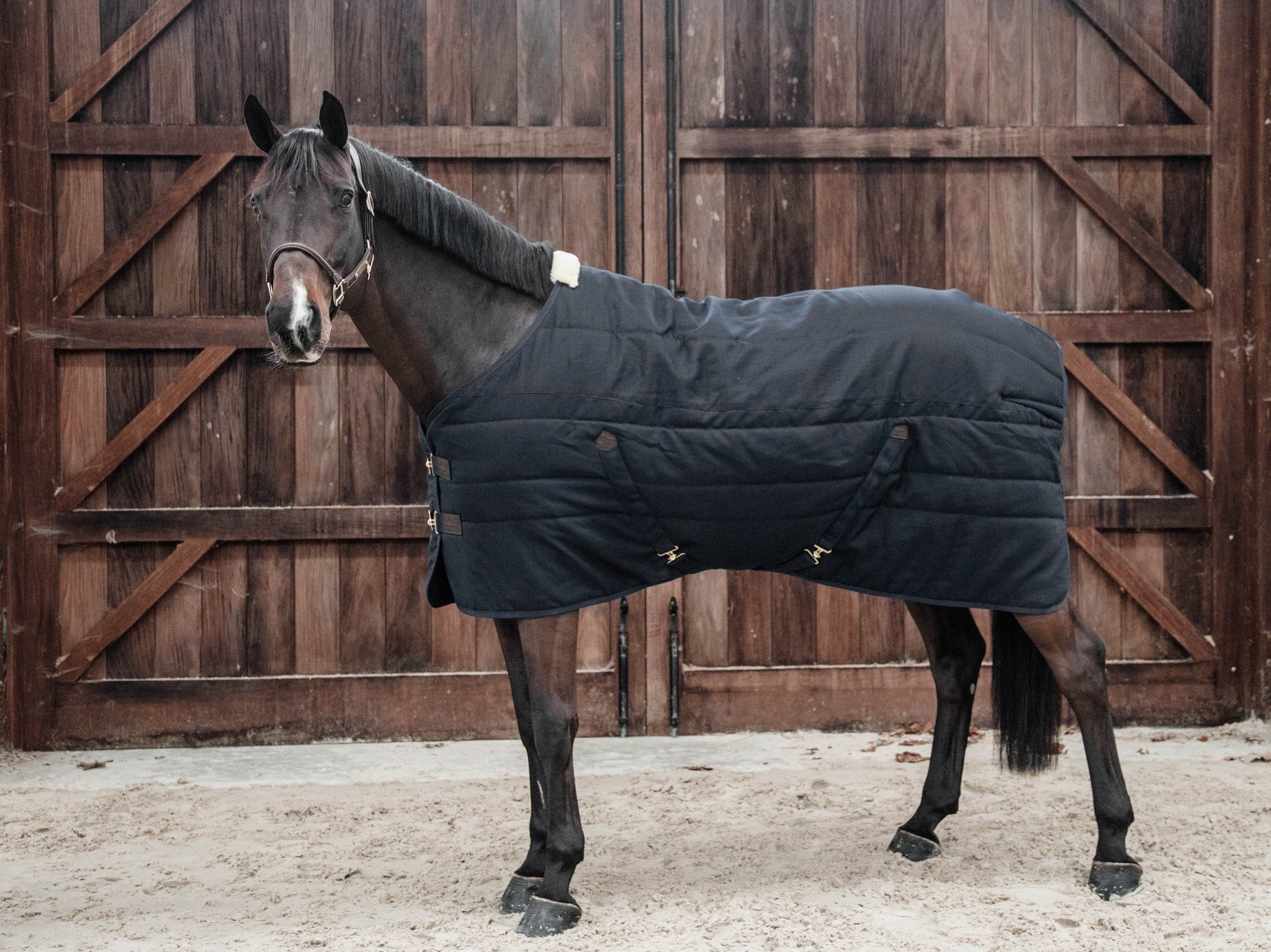 Kentucky Stable Rug Classic
