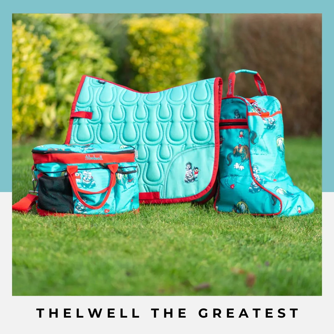 HY Equestrian потник Пони