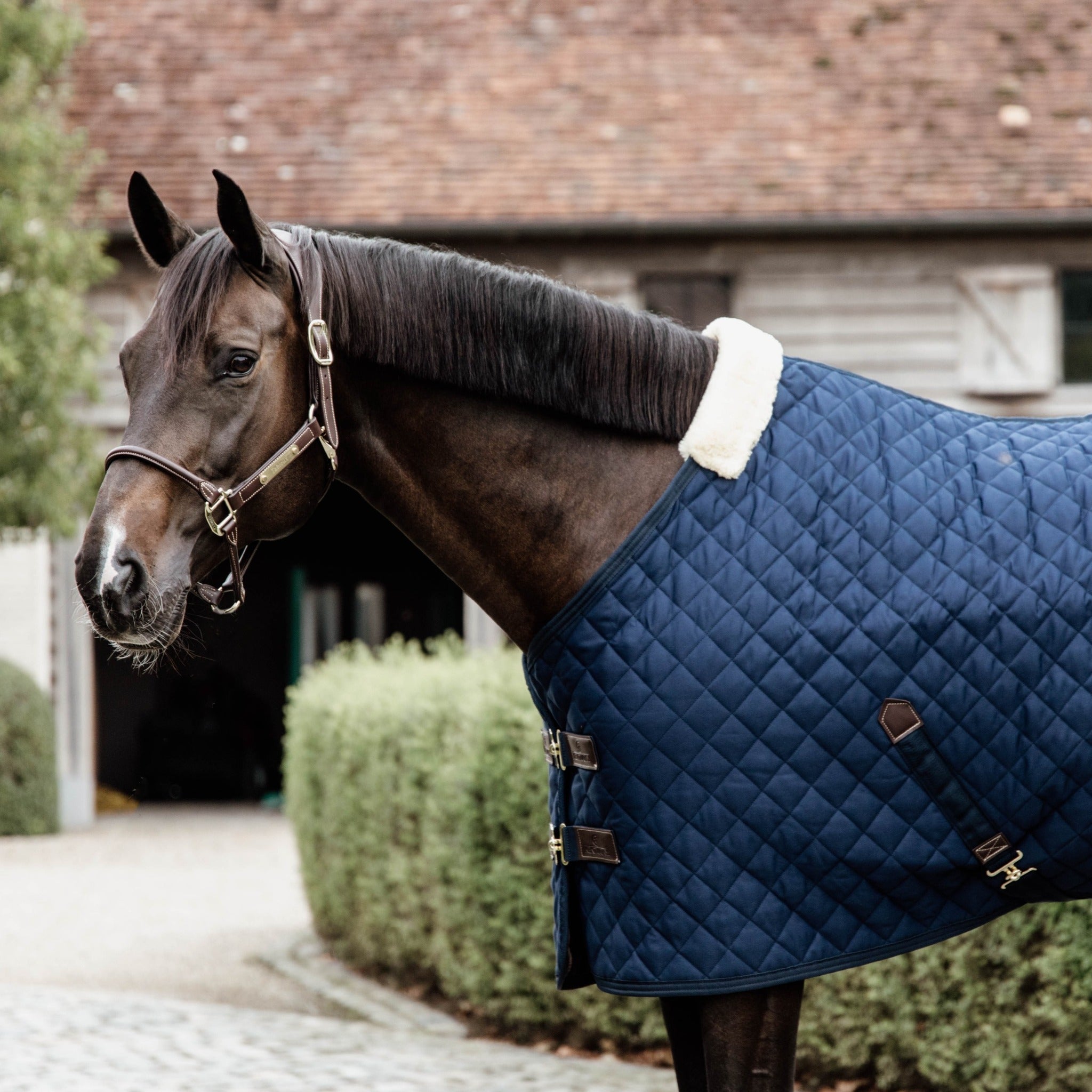 Kentucky Stable Rug Navy