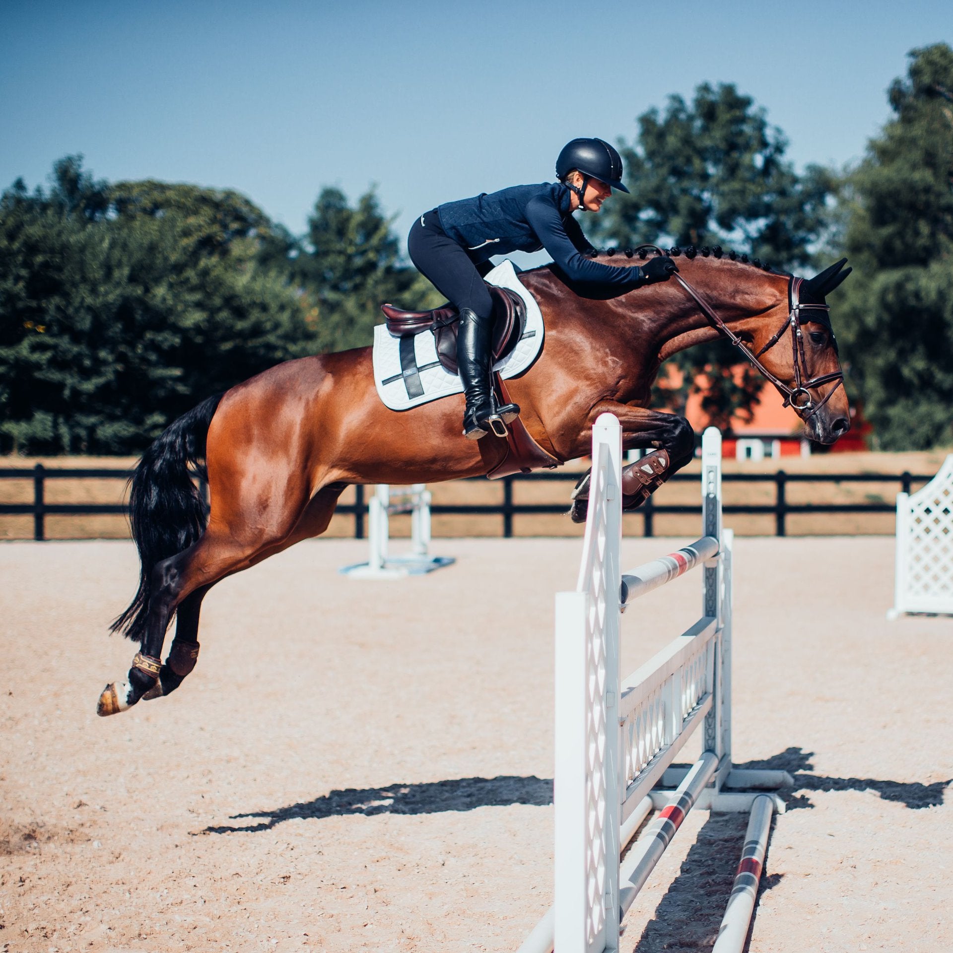 Equestrian Stockholm потник