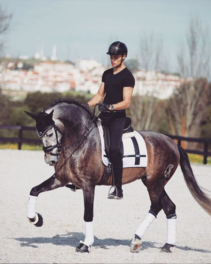 Equestrian Stockholm потник обездка