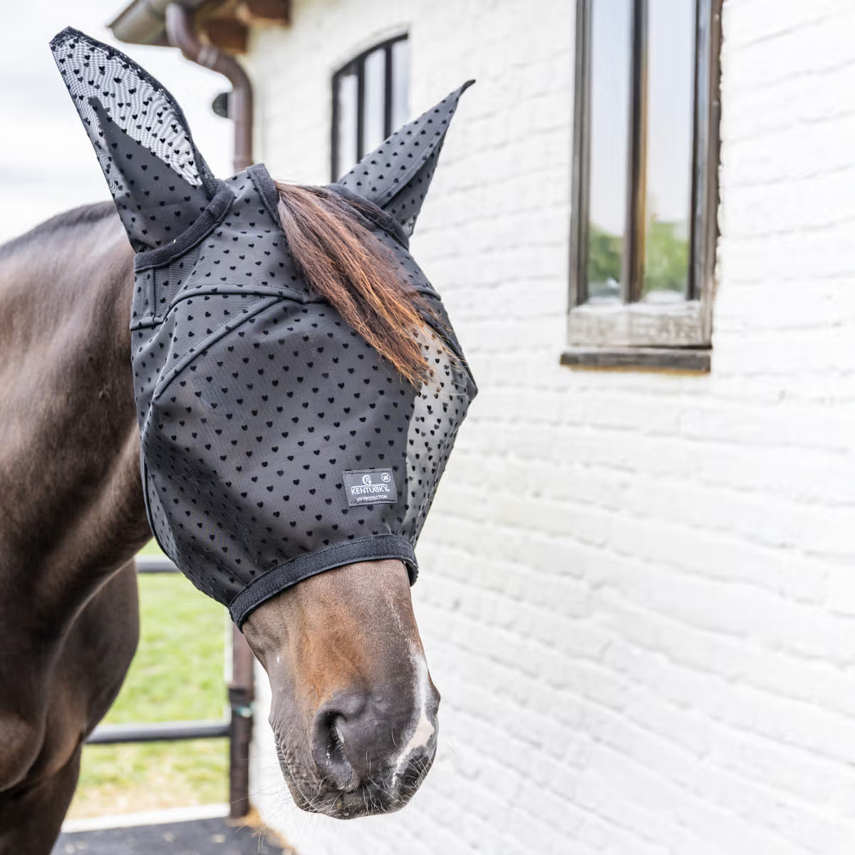 Kentucky Fly Mask Heart
