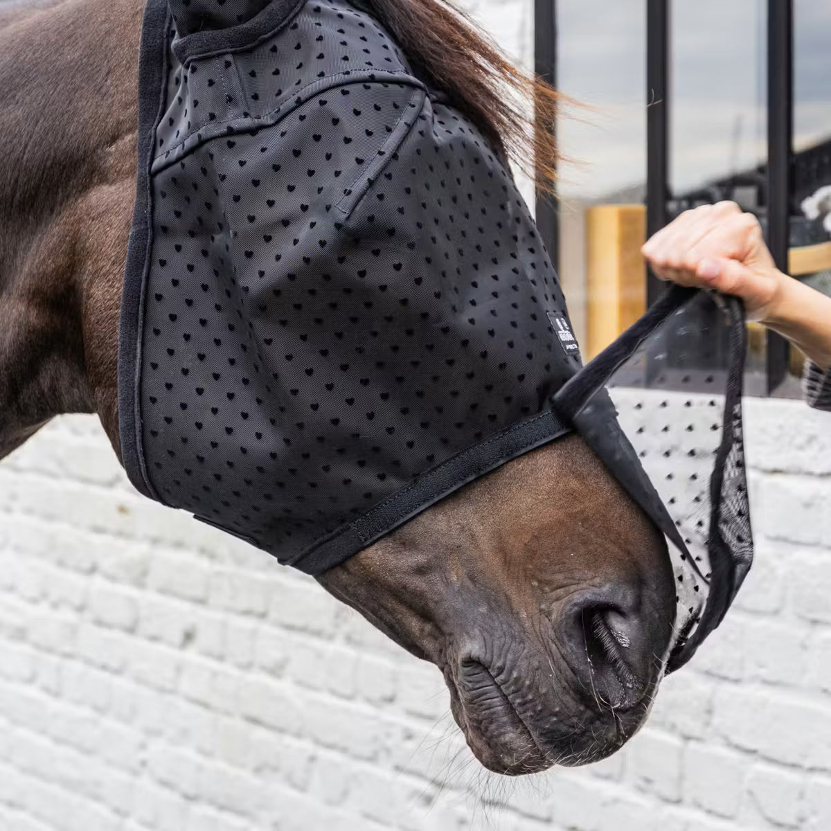 Kentucky Fly Mask Heart