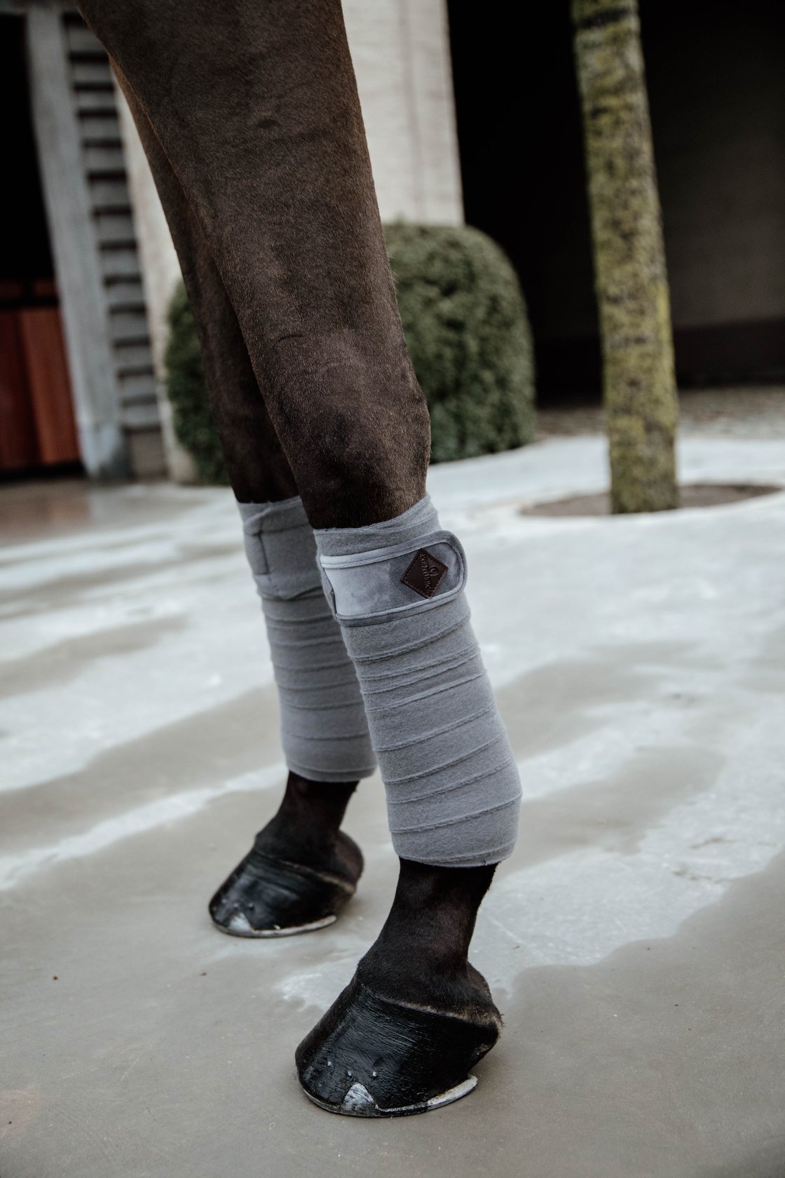 Kentucky  бинтове