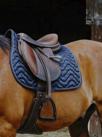 Equitheme  потник син