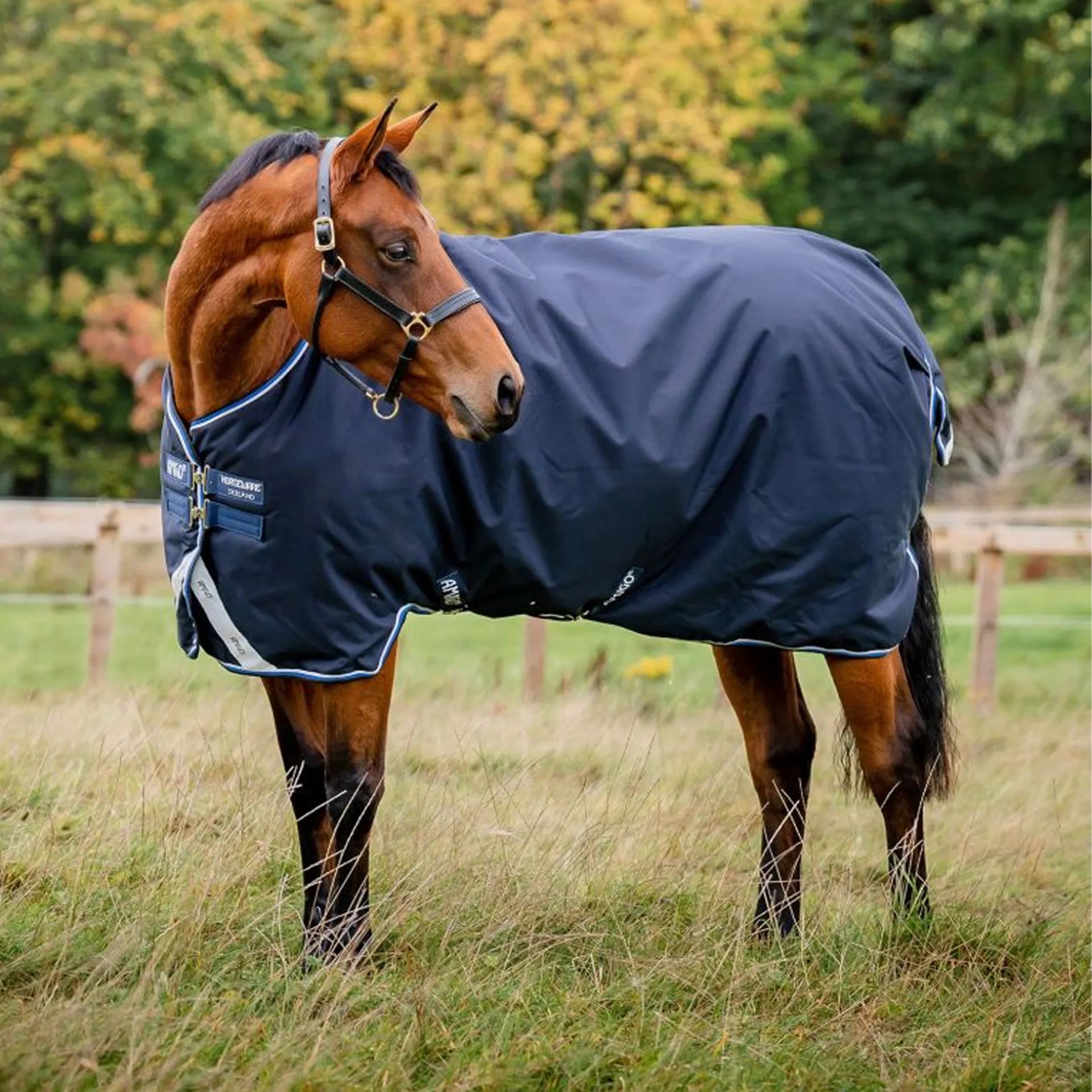 Horseware Amigo® Bravo Original 1200D 250G