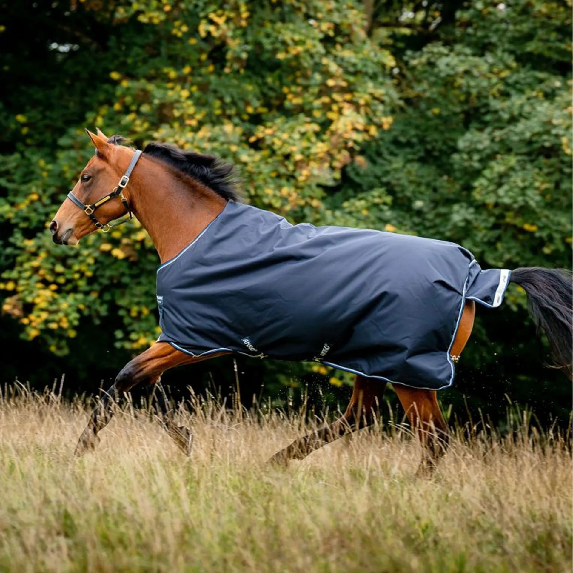 Horseware Amigo® Bravo Original 1200D 250G