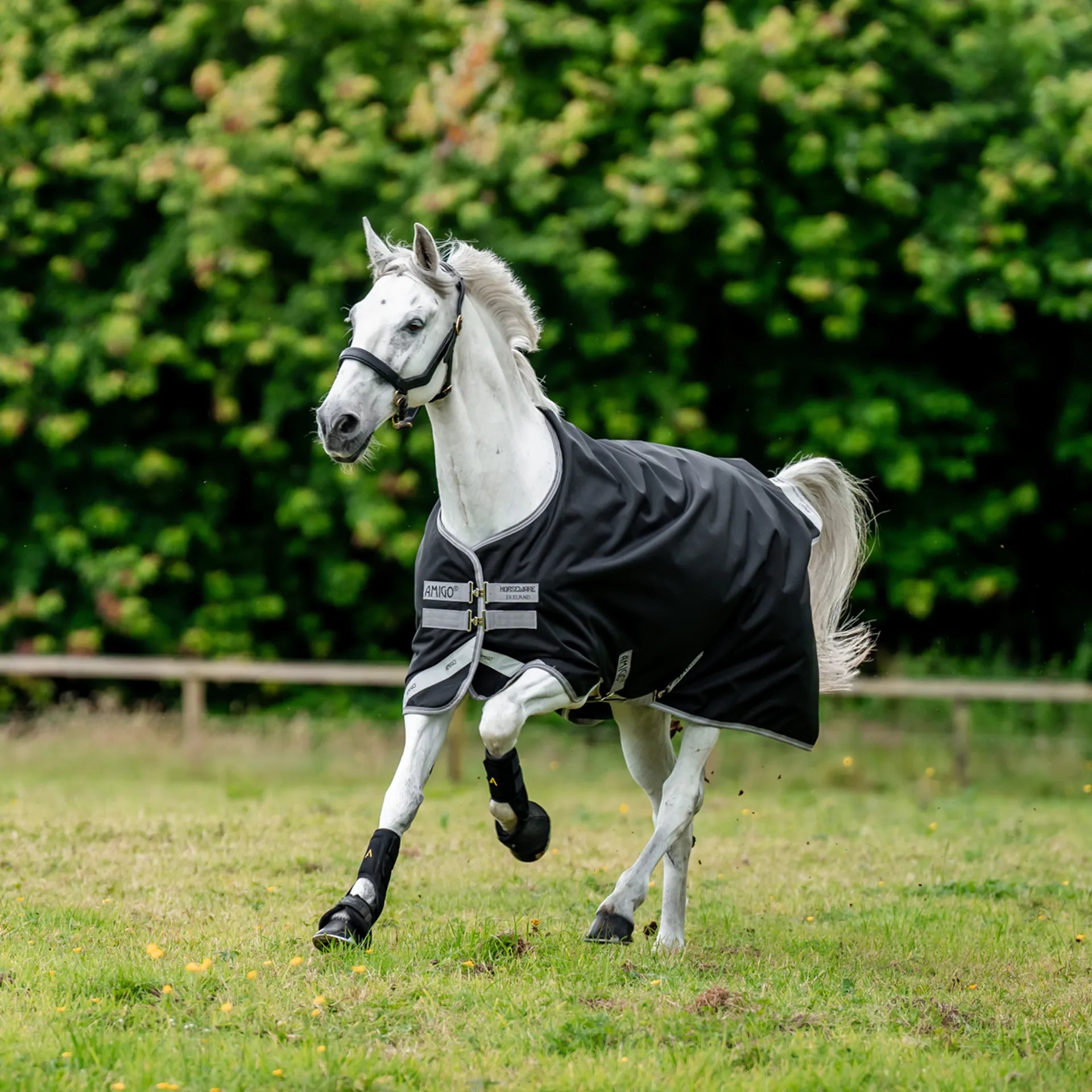 Horseware Amigo® Bravo Original 1200D 50G