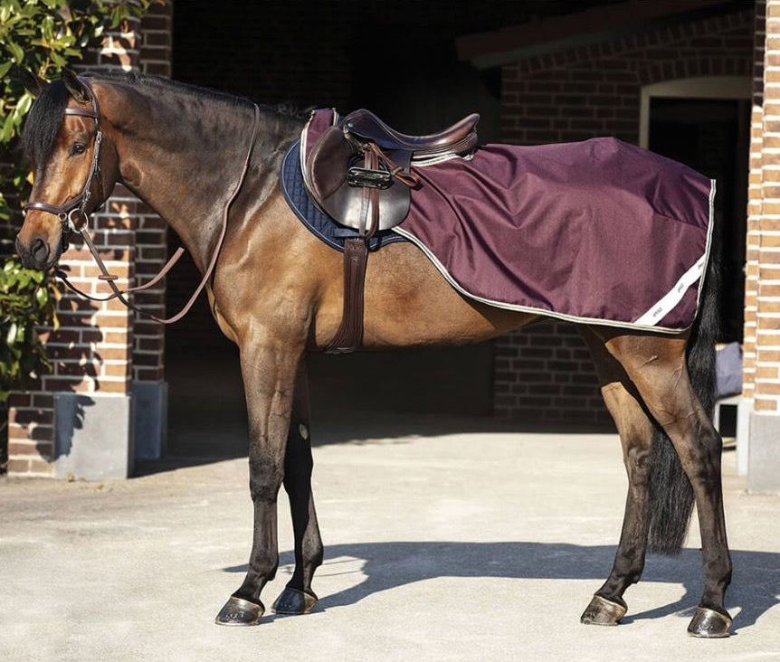 Horseware Amigo  600D попона