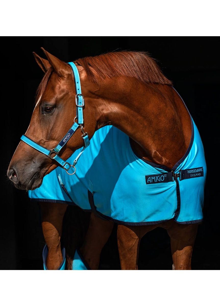 Horseware Оглавник Delphinium