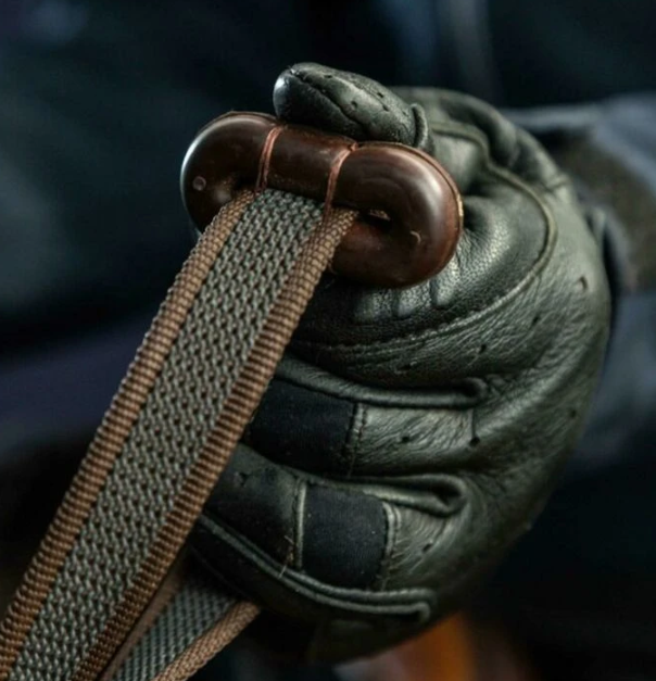 Dy'on  поводи кафяви