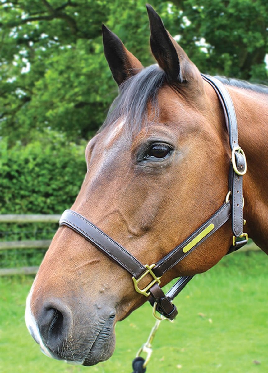 JHL Кожен Оглавник Кафяв S