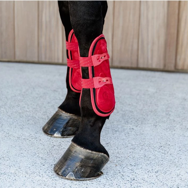 Kentucky Bamboo гамаши пони