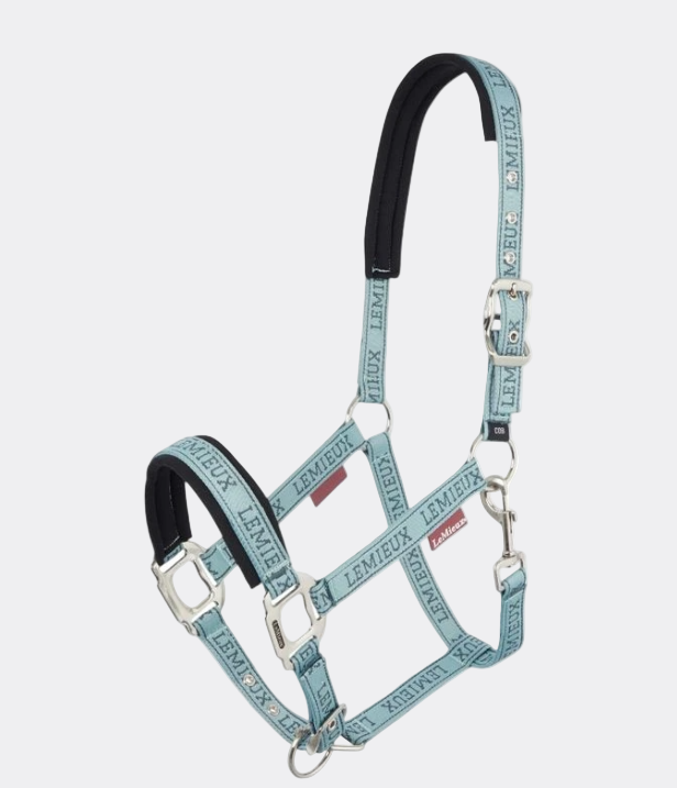 LeMieux Оглавник син