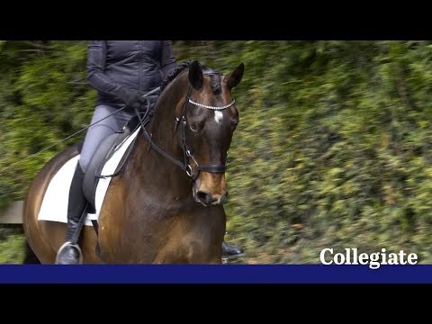 Collegiate ComFiTec Patent Юздечка
